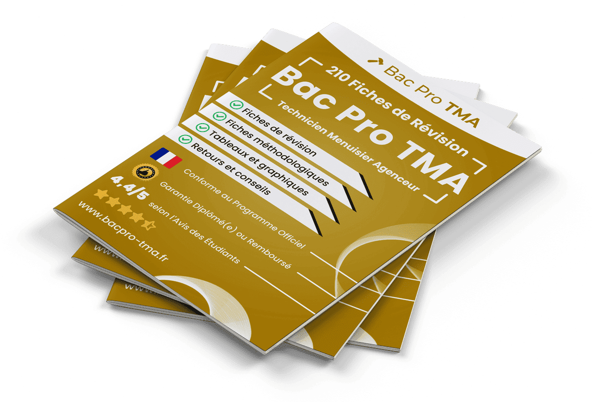 210 Fiches de Révision pour le Bac Pro TMA
